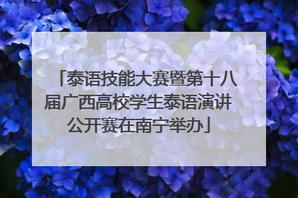 泰语技能大赛暨第十八届广西高校学生泰语演讲公开赛在南宁举办