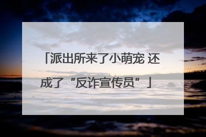 派出所来了小萌宠 还成了“反诈宣传员”