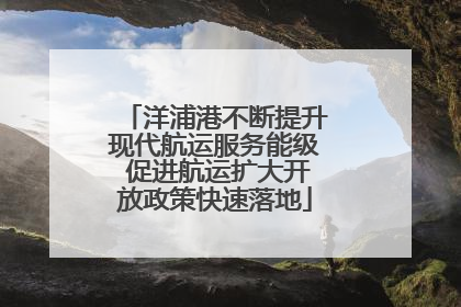 洋浦港不断提升现代航运服务能级 促进航运扩大开放政策快速落地