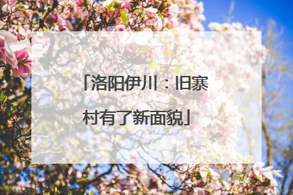 洛阳伊川：旧寨村有了新面貌