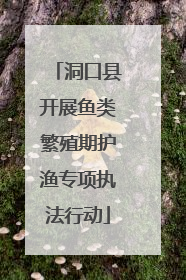 洞口县开展鱼类繁殖期护渔专项执法行动