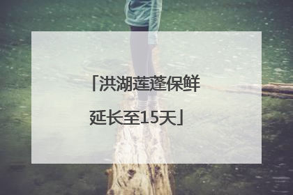 洪湖莲蓬保鲜延长至15天