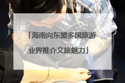 海南向东盟多国旅游业界推介文旅魅力