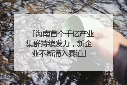 海南首个千亿产业集群持续发力，新企业不断涌入赛道