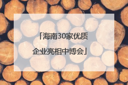 海南30家优质企业亮相中博会