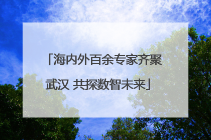 海内外百余专家齐聚武汉 共探数智未来