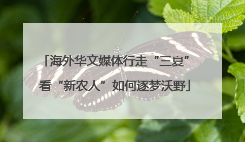 海外华文媒体行走“三夏” 看“新农人”如何逐梦沃野