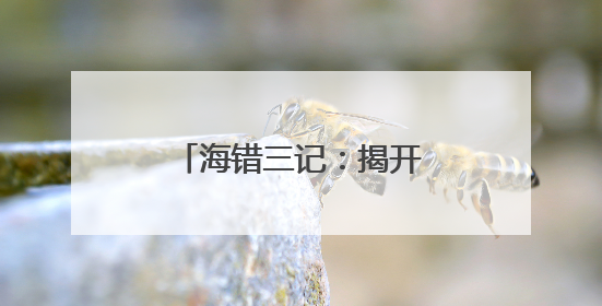 海错三记：揭开这些古老生物的神秘面纱｜盛文强
