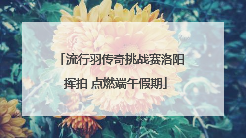 流行羽传奇挑战赛洛阳挥拍 点燃端午假期