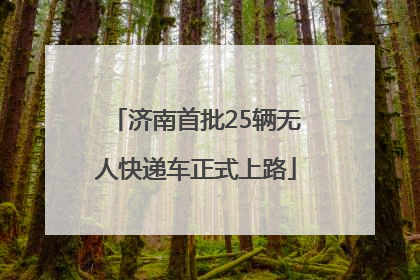 济南首批25辆无人快递车正式上路