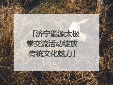济宁能源太极拳交流活动绽放传统文化魅力
