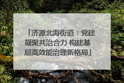 济源北海街道：党建凝聚共治合力 构建基层高效能治理新格局