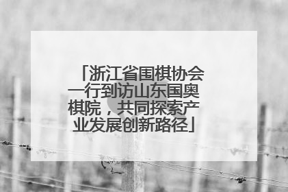 浙江省围棋协会一行到访山东国奥棋院，共同探索产业发展创新路径