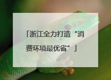 浙江全力打造“消费环境最优省”