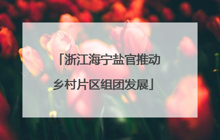 浙江海宁盐官推动乡村片区组团发展