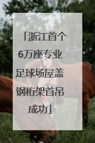 浙江首个6万座专业足球场屋盖钢桁架首吊成功