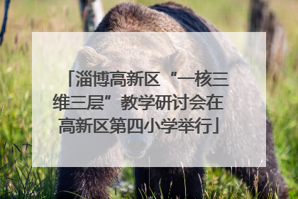 淄博高新区“一核三维三层”教学研讨会在高新区第四小学举行