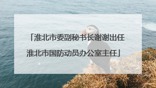 淮北市委副秘书长谢谢出任淮北市国防动员办公室主任