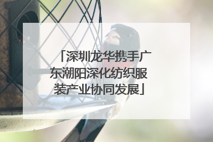 深圳龙华携手广东潮阳深化纺织服装产业协同发展