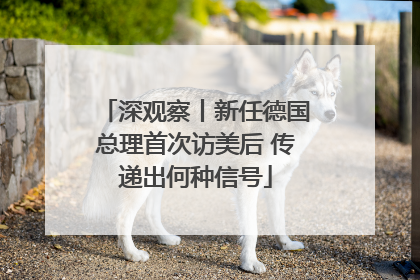 深观察丨新任德国总理首次访美后 传递出何种信号