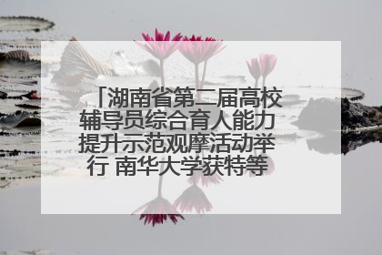 湖南省第二届高校辅导员综合育人能力提升示范观摩活动举行 南华大学获特等奖和一等奖