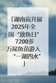 湖南省开展2025年全国“放鱼日” 7200多万尾鱼苗游入“一湖四水”