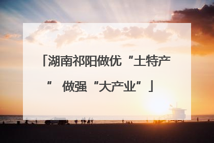 湖南祁阳做优“土特产” 做强“大产业”