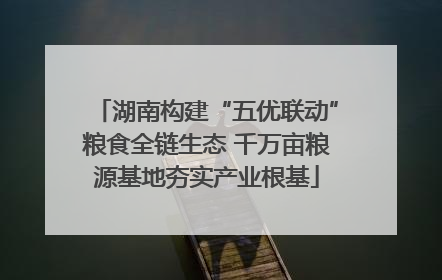 湖南构建“五优联动”粮食全链生态 千万亩粮源基地夯实产业根基