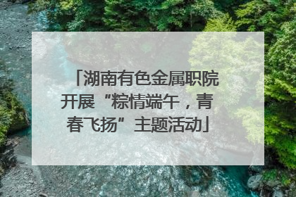 湖南有色金属职院开展“粽情端午，青春飞扬”主题活动