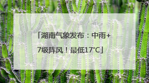湖南气象发布：中雨+7级阵风！最低17℃