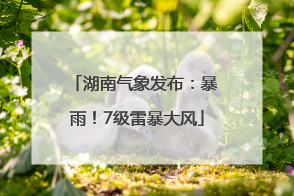 湖南气象发布：暴雨！7级雷暴大风