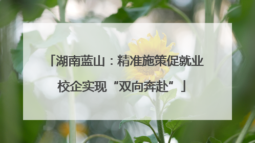 湖南蓝山：精准施策促就业 校企实现“双向奔赴”