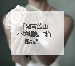 湖南蓝山：小镇崛起“箱包城”