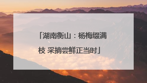 湖南衡山：杨梅缀满枝 采摘尝鲜正当时