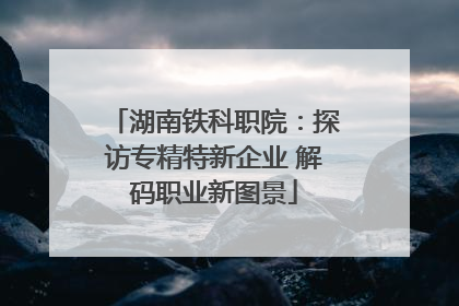 湖南铁科职院：探访专精特新企业 解码职业新图景