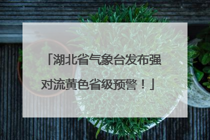 湖北省气象台发布强对流黄色省级预警！