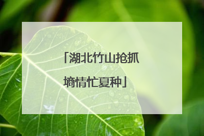 湖北竹山抢抓墒情忙夏种