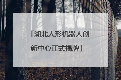 湖北人形机器人创新中心正式揭牌