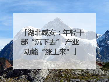 湖北咸安：年轻干部“沉下去” 产业动能“涨上来”