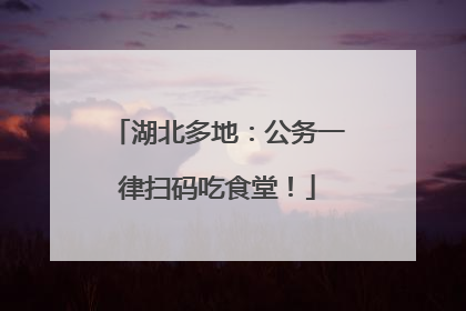 湖北多地：公务一律扫码吃食堂！