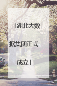湖北大数据集团正式成立