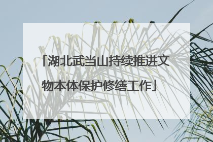 湖北武当山持续推进文物本体保护修缮工作