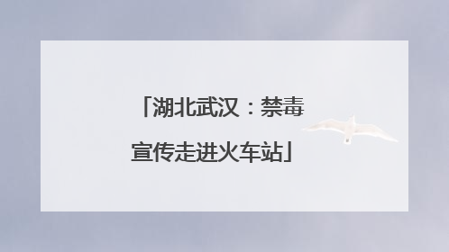 湖北武汉：禁毒宣传走进火车站