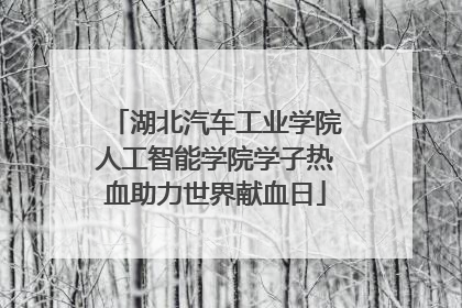 湖北汽车工业学院人工智能学院学子热血助力世界献血日