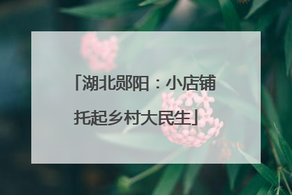 湖北郧阳：小店铺托起乡村大民生