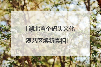 湖北首个码头文化演艺区焕新亮相