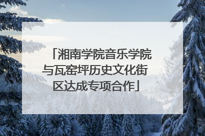 湘南学院音乐学院与瓦窑坪历史文化街区达成专项合作