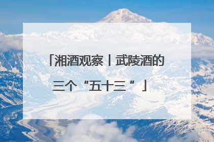 湘酒观察丨武陵酒的三个“五十三 ”