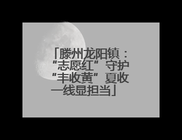 滕州龙阳镇：“志愿红”守护“丰收黄”夏收一线显担当