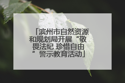 滨州市自然资源和规划局开展“敬畏法纪 珍惜自由”警示教育活动